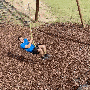 dragon.gif