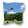 maximum_80x80_transparent.png