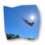 swinger_logo_80x80_transparent.png