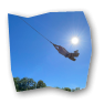 swinger_logo_80x80_transparent.png
