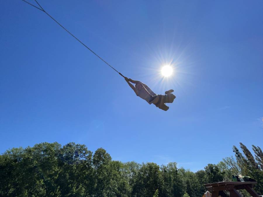 swinger_logo_tatze.jpg swinger_logo_tatze.jpg