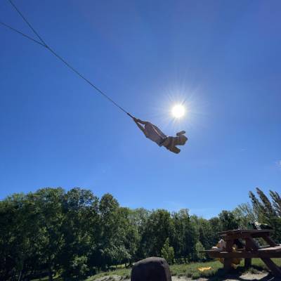 swinger_logo_tatze.jpg